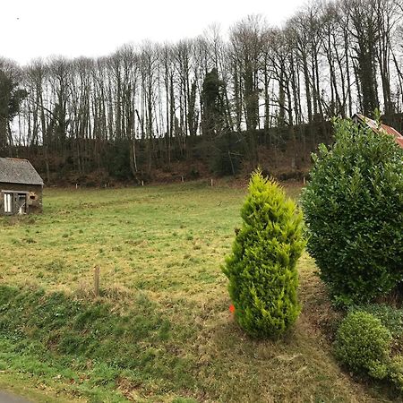 Modern Cottage In Normandy With Large Garden Isigny-le-Buat Buitenkant foto