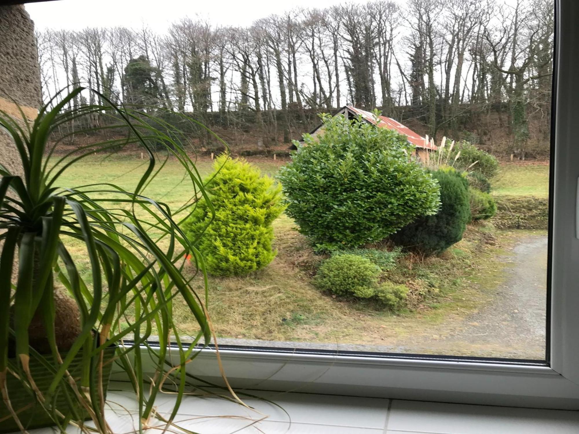 Modern Cottage In Normandy With Large Garden Isigny-le-Buat Buitenkant foto